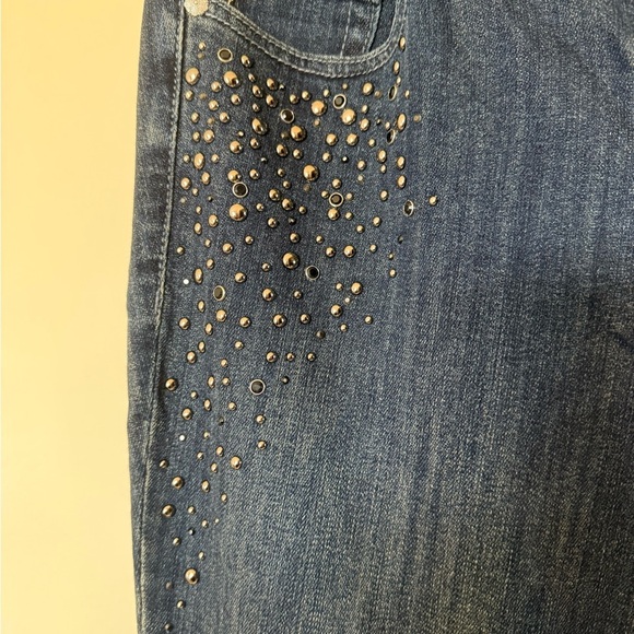 NWOT Torrid Premium Embellished Skinny Jeans in Size 12 - Picture 3 of 10